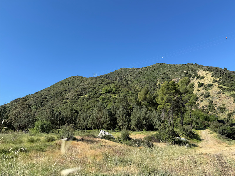 Valley Honey Farms