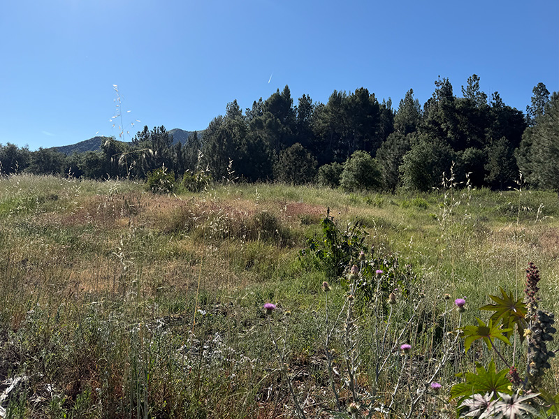 Valley Honey Farms