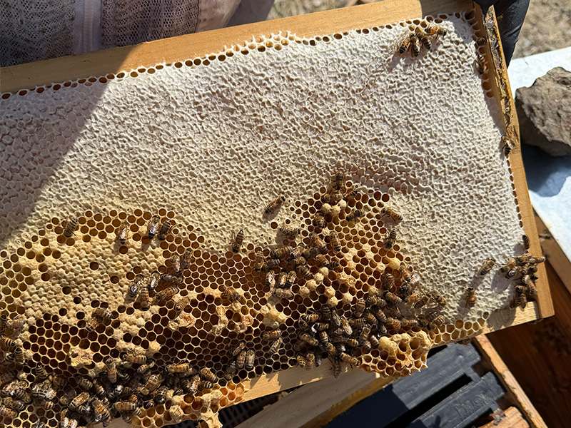 Valley Honey Farms